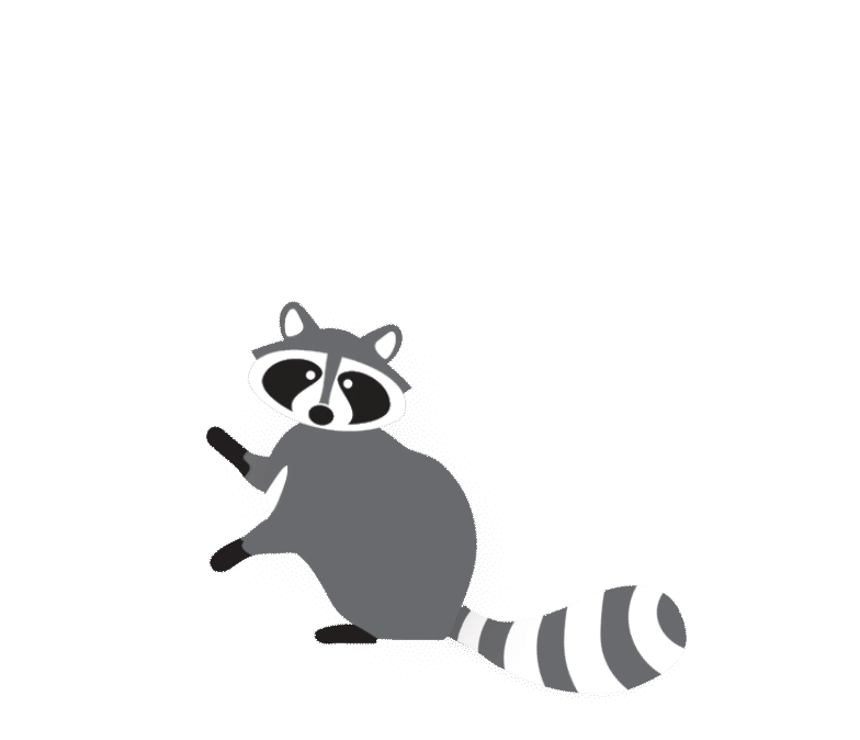 gif of a raccoon jumping and pointing