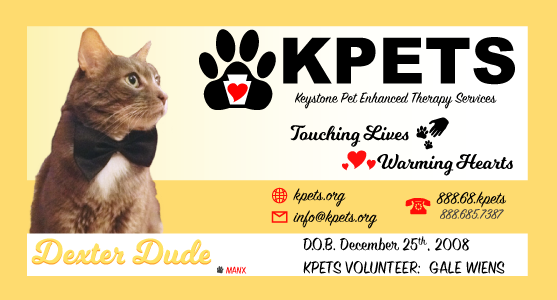KPETS business card for cat Dexter Dude