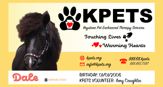 KPETS business card for minature horse Dale