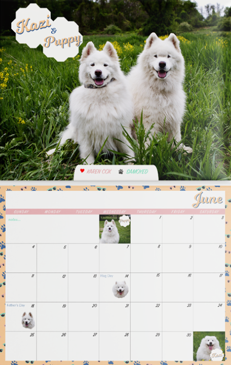 calendar mock up of the month of February for KPETS Pet Therapy, featuring two dogs at the top